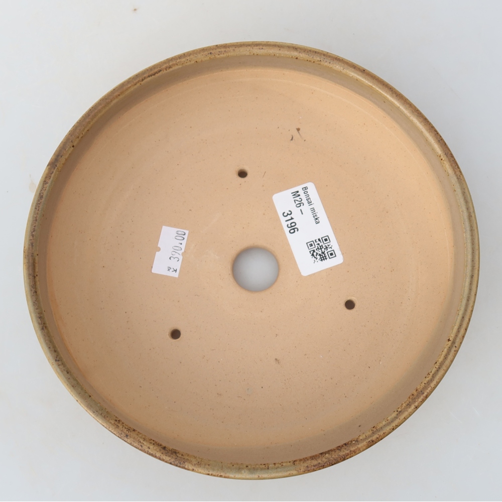 Keramische bonsaipot 17,5 x 17,5 x 5,5 cm, kleur: beige