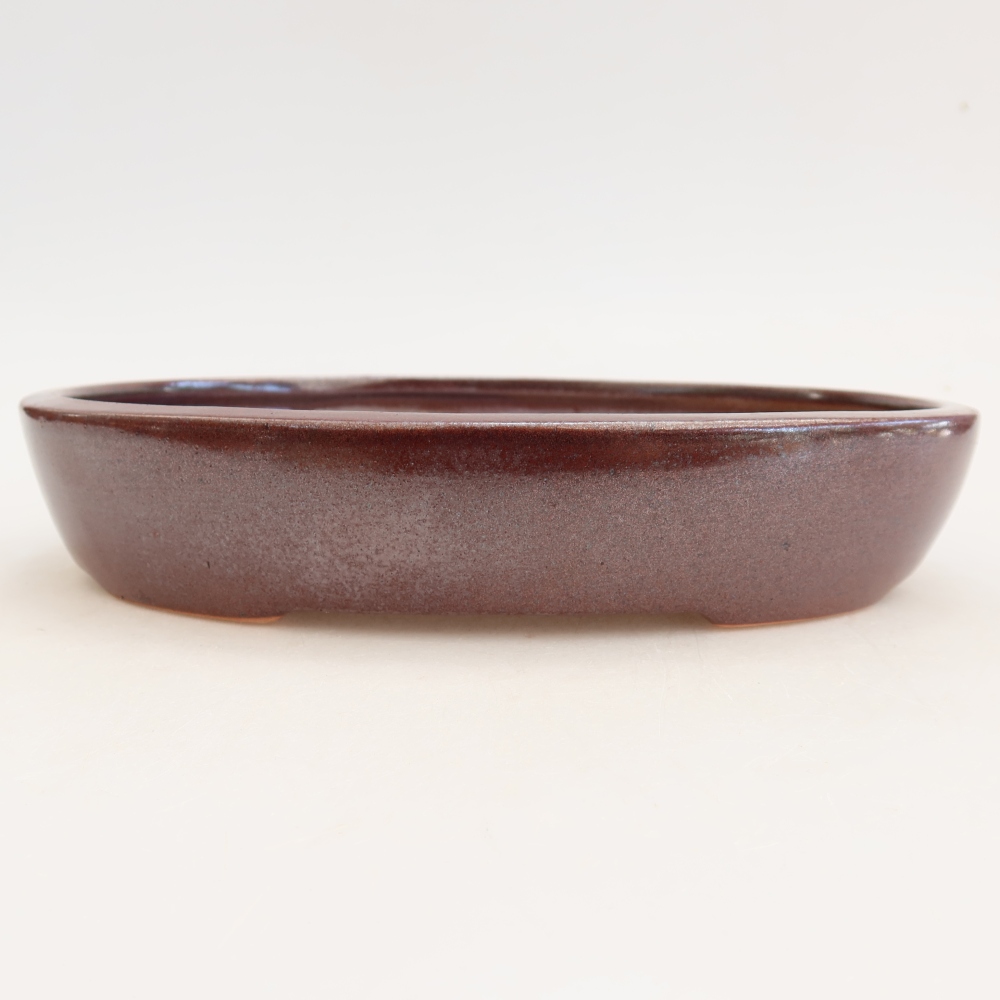 Keramische bonsaipot 22 x 17 x 4 cm, kleur bordeauxrood