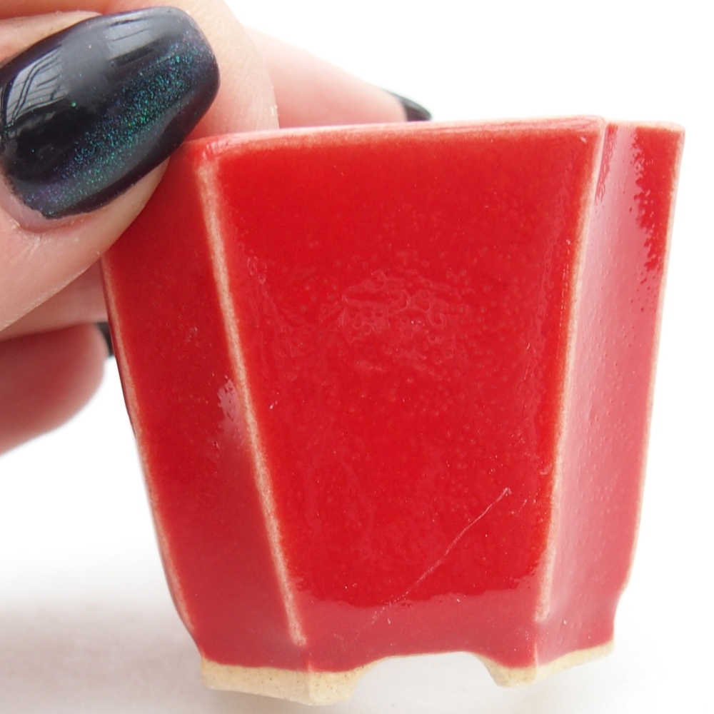Mini bonsaischaal 4,5 x 4,5 x 4 cm, kleur rood
