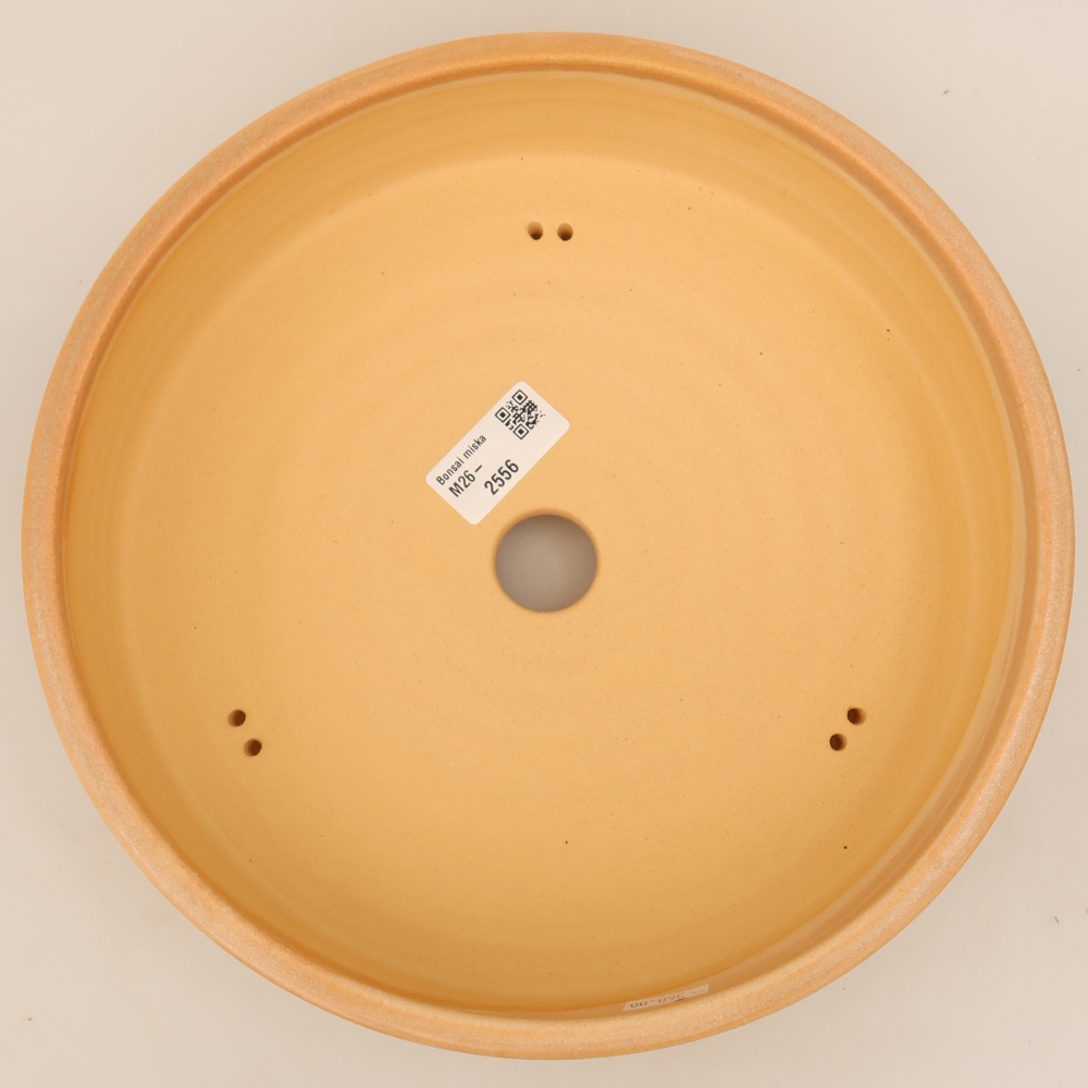 Keramische bonsaipot 26 x 26 x 6,5 cm, kleur beige