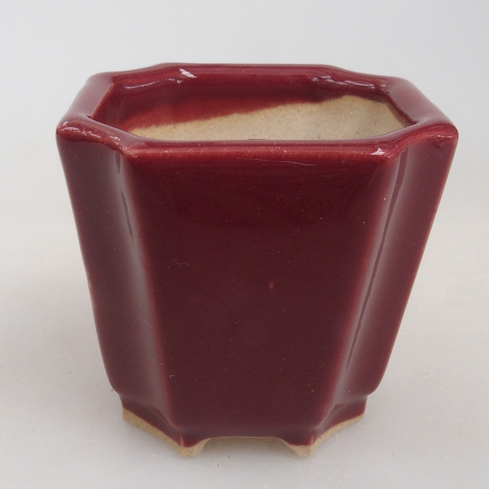 Mini bonsaischaal 4 x 4 x 4 cm, bordeauxrood