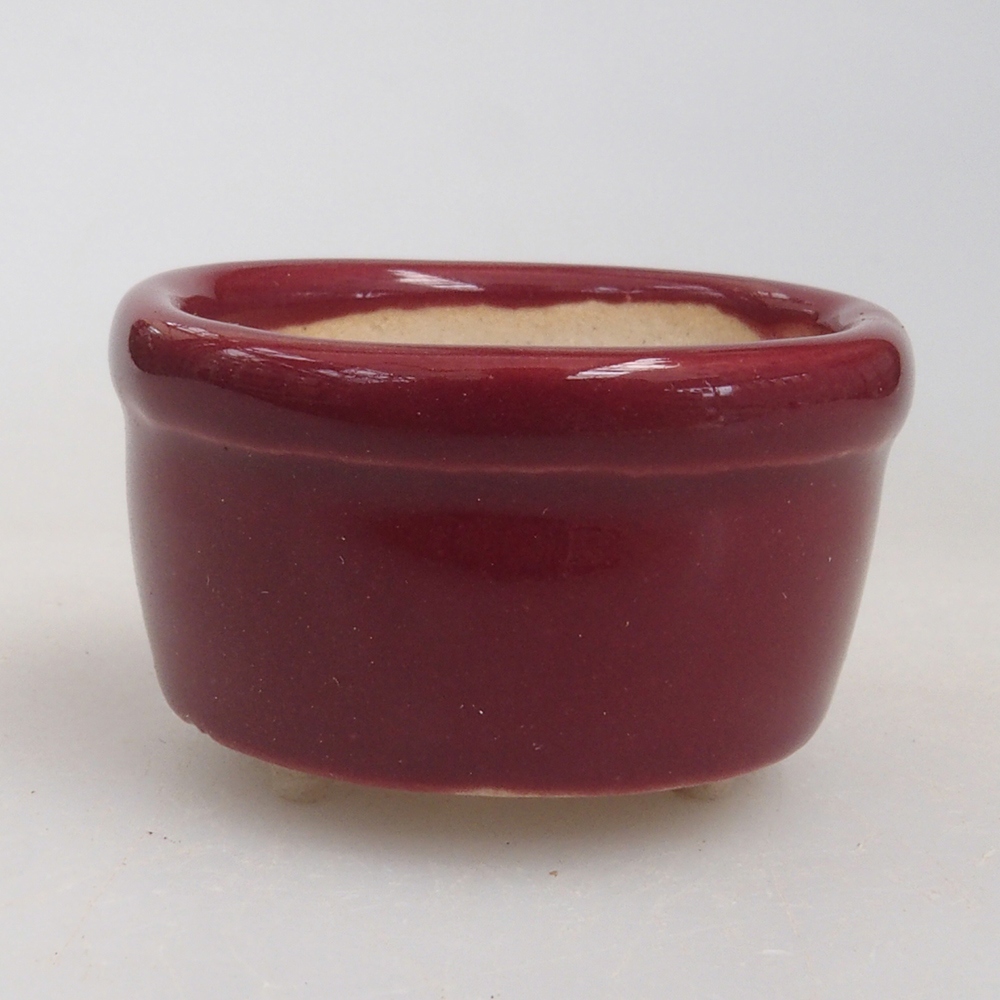 Mini bonsaischaal 3,5 x 3,5 x 2 cm, bordeauxrood