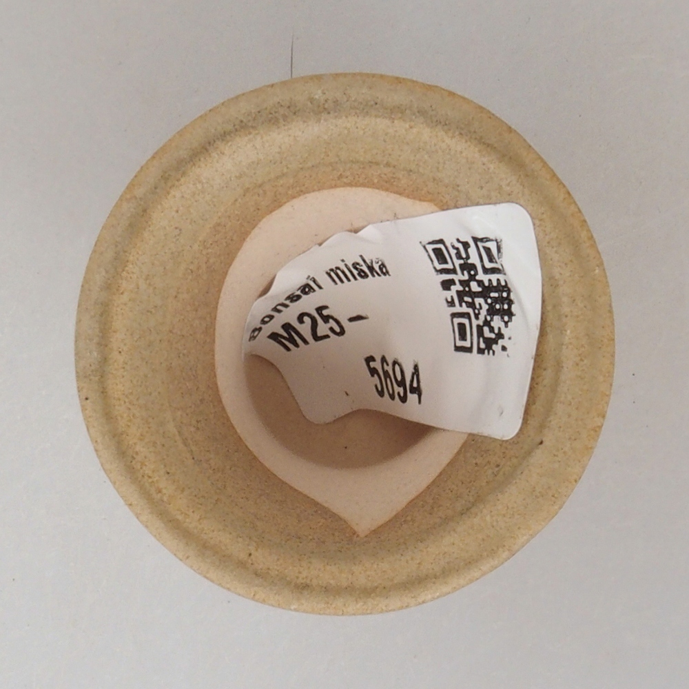 Mini bonsaischaal 4 x 4 x 4 cm, bruin