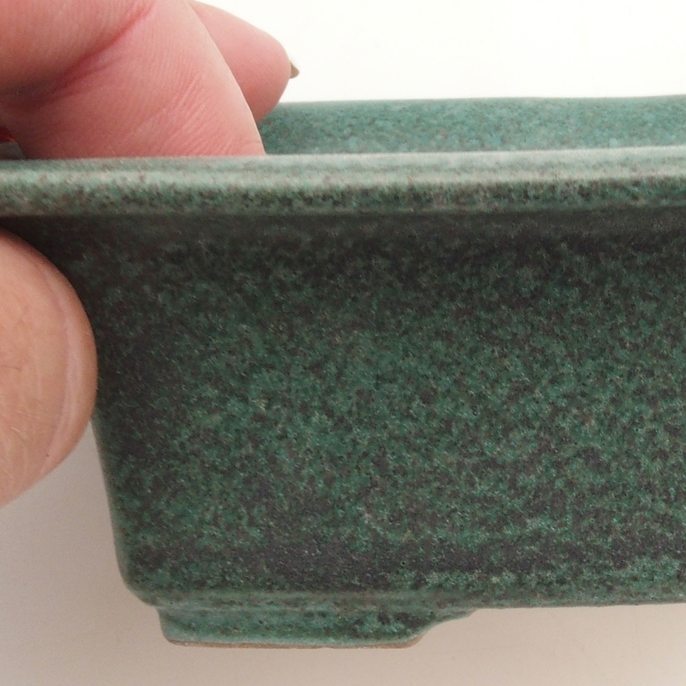 Bonsaischaal H11 - 11,5 x 10 x 4 cm - groen