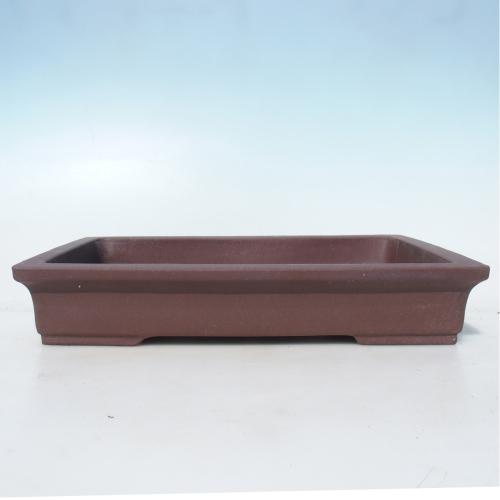 Bonsaischaal 36,5 x 24 x 6,5 cm berken bruin