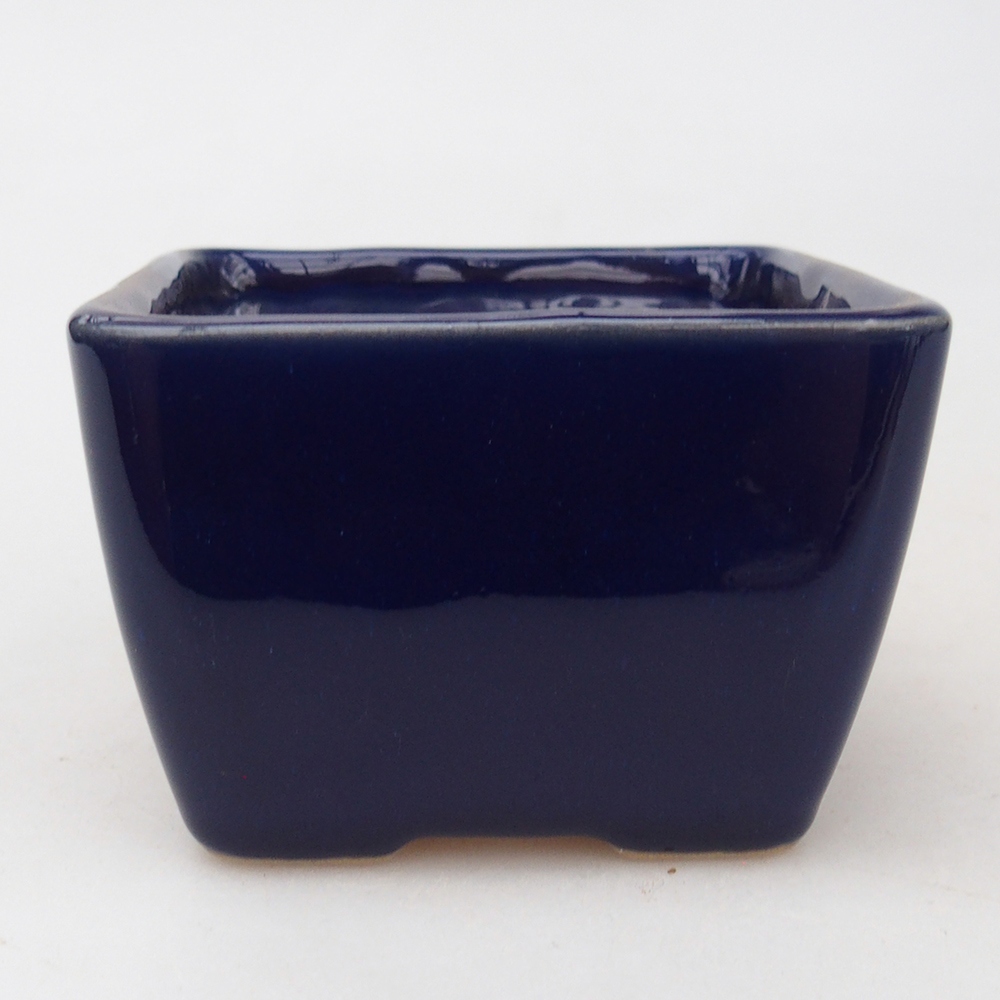 Bonsaischaal van keramiek 8,5 x 8,5 x 6 cm, kleur blauw