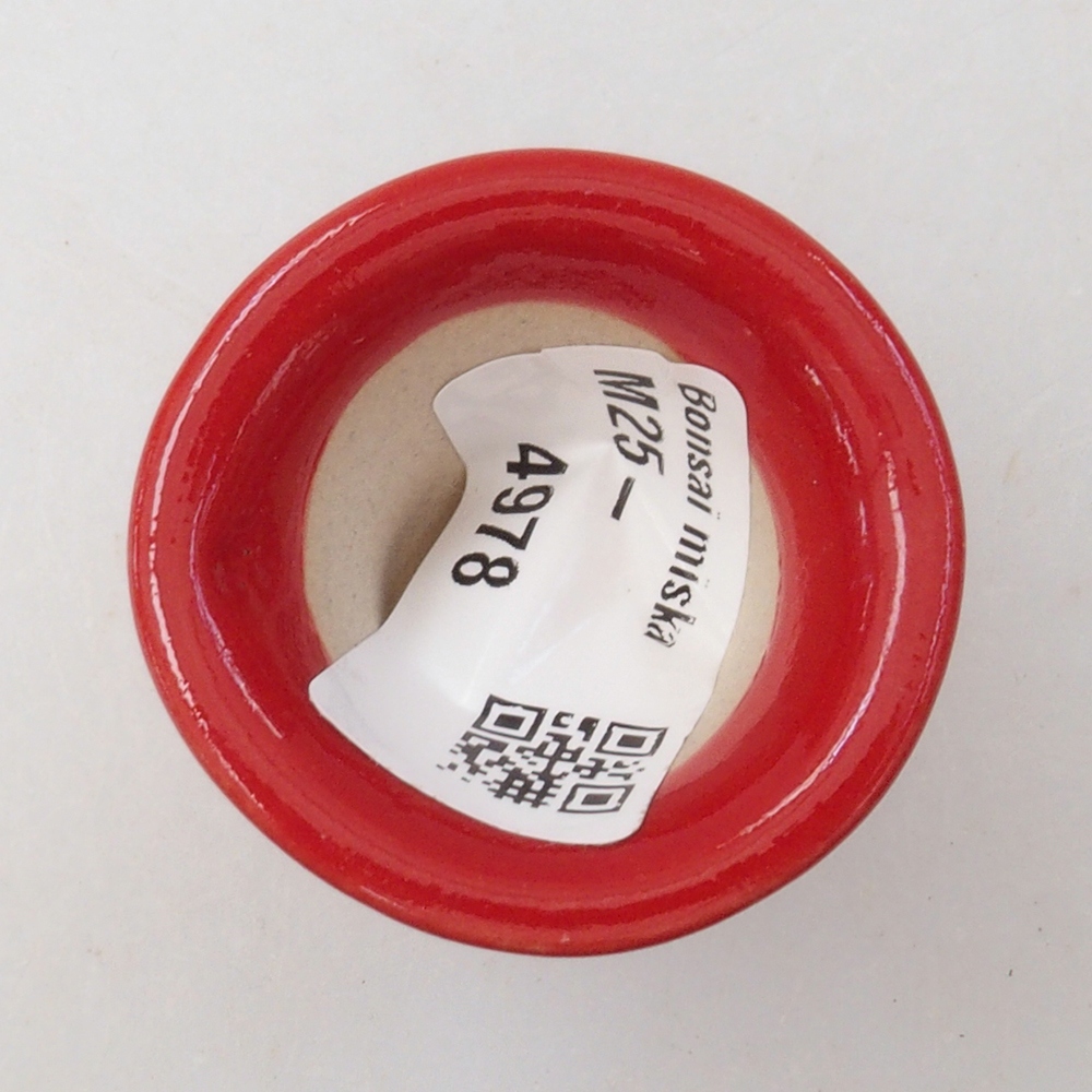 Mini bonsaischaal 4 x 4 x 4 cm, kleur rood