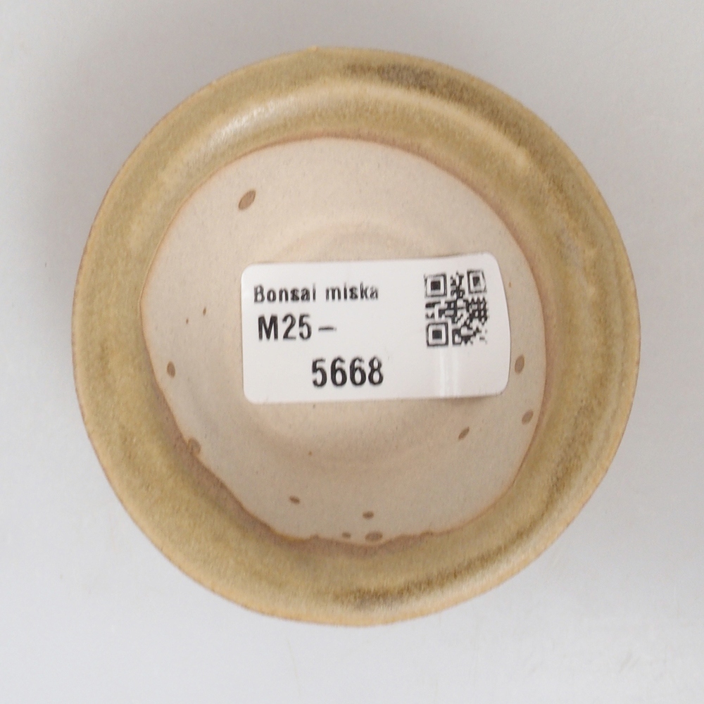 Mini bonsaischaal 7 x 7 x 2,5 cm, bruin