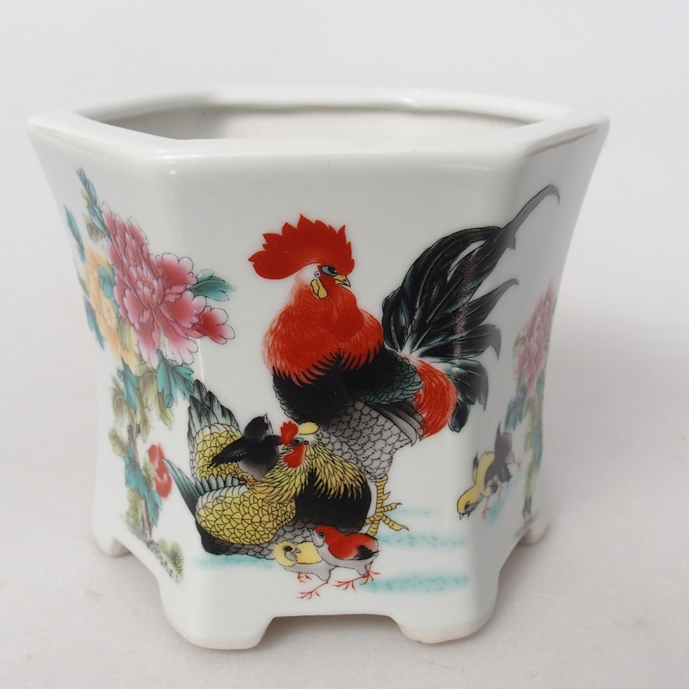 Bonsaischaal van keramiek 10,5 x 9,5 x 9 cm, kleur wit