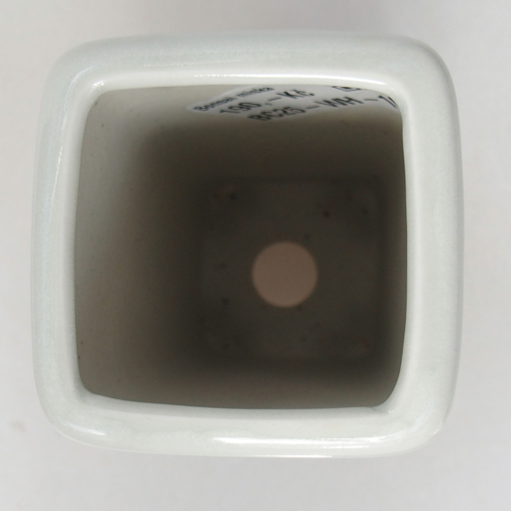 Bonsaischaal van keramiek 5,5 x 5,5 x 12 cm, kleur wit