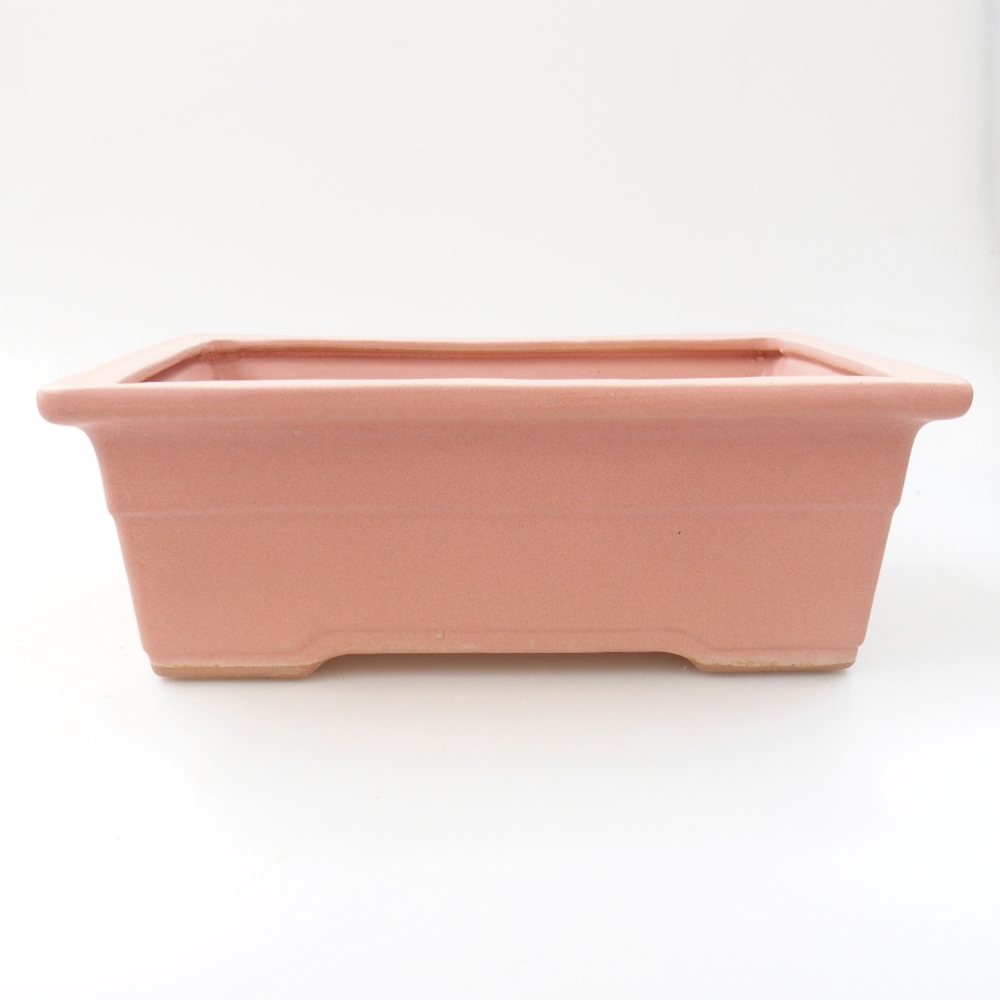Bonsaischaal van keramiek 22 x 16 x 8 cm, roze