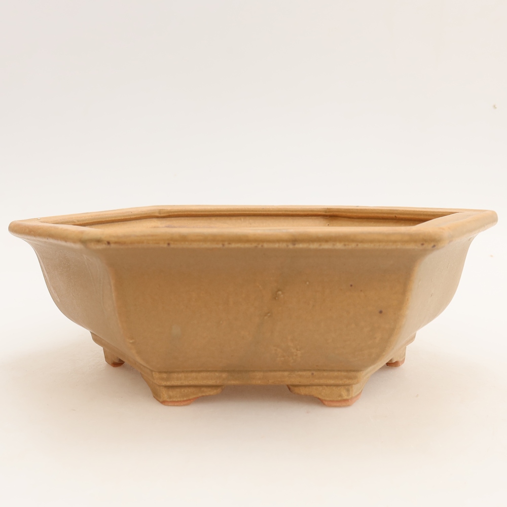 Keramische bonsaipot 24 x 21,5 x 7,5 cm, kleur: beige