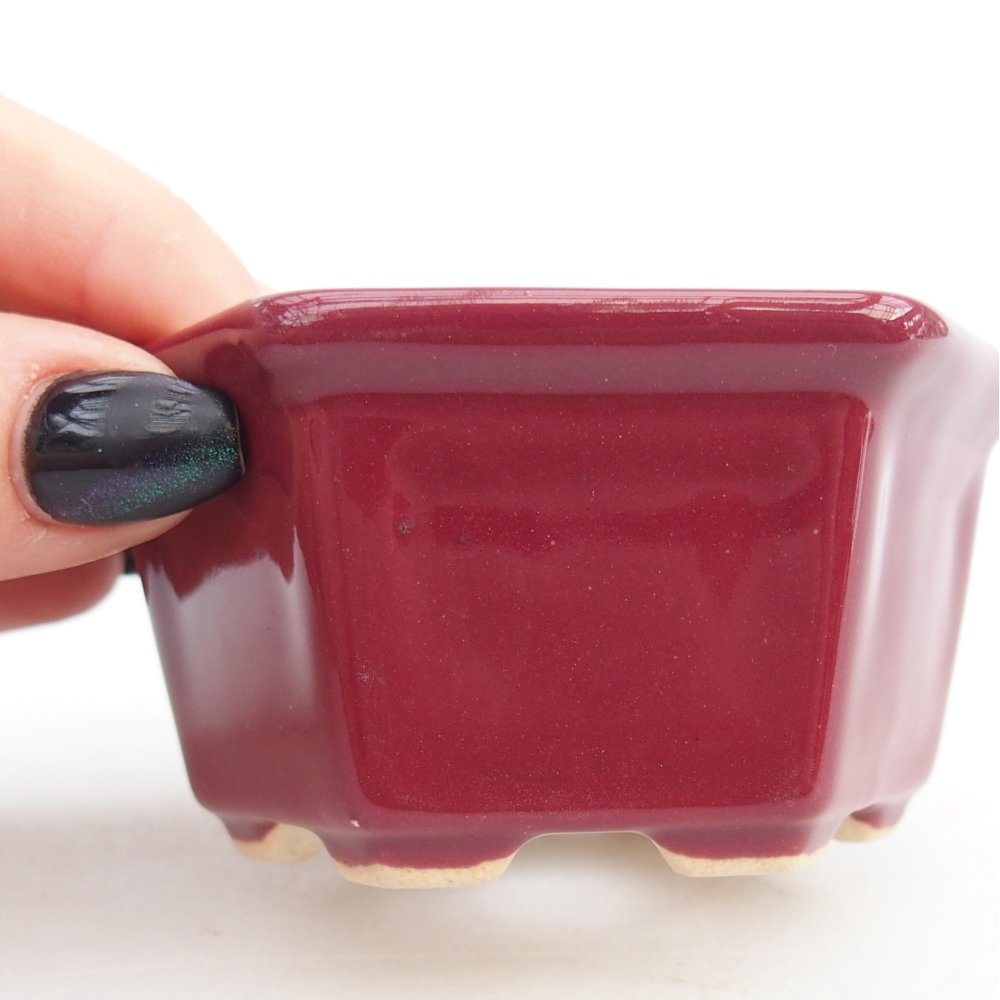 Mini bonsaischaal 8 x 7 x 4 cm, bordeauxrood