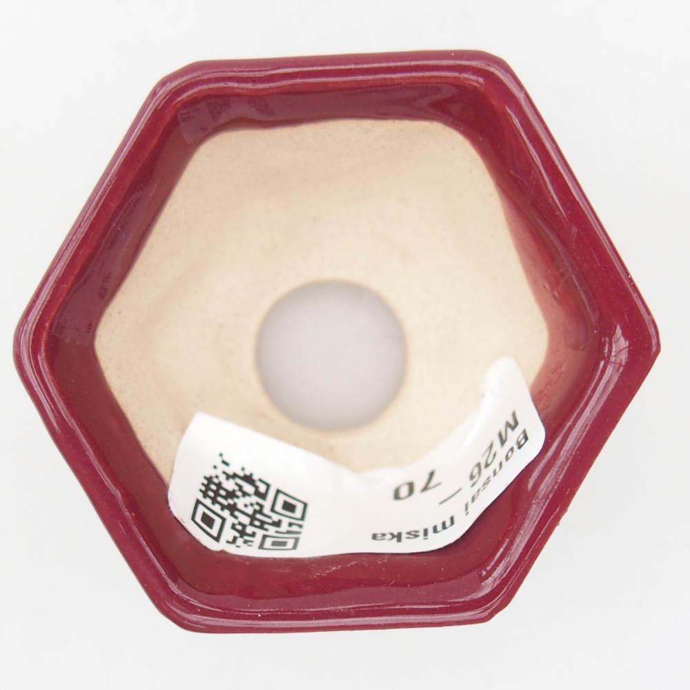Mini bonsaischaal 5 x 4,5 x 3 cm, bordeauxrood