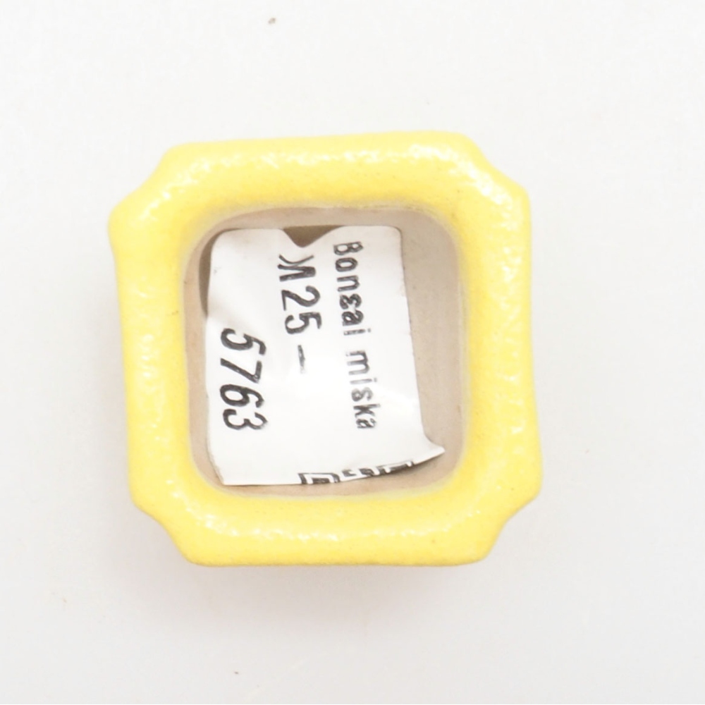 Bonsaischaaltje van keramiek 3 x 3 x 2 cm, geel