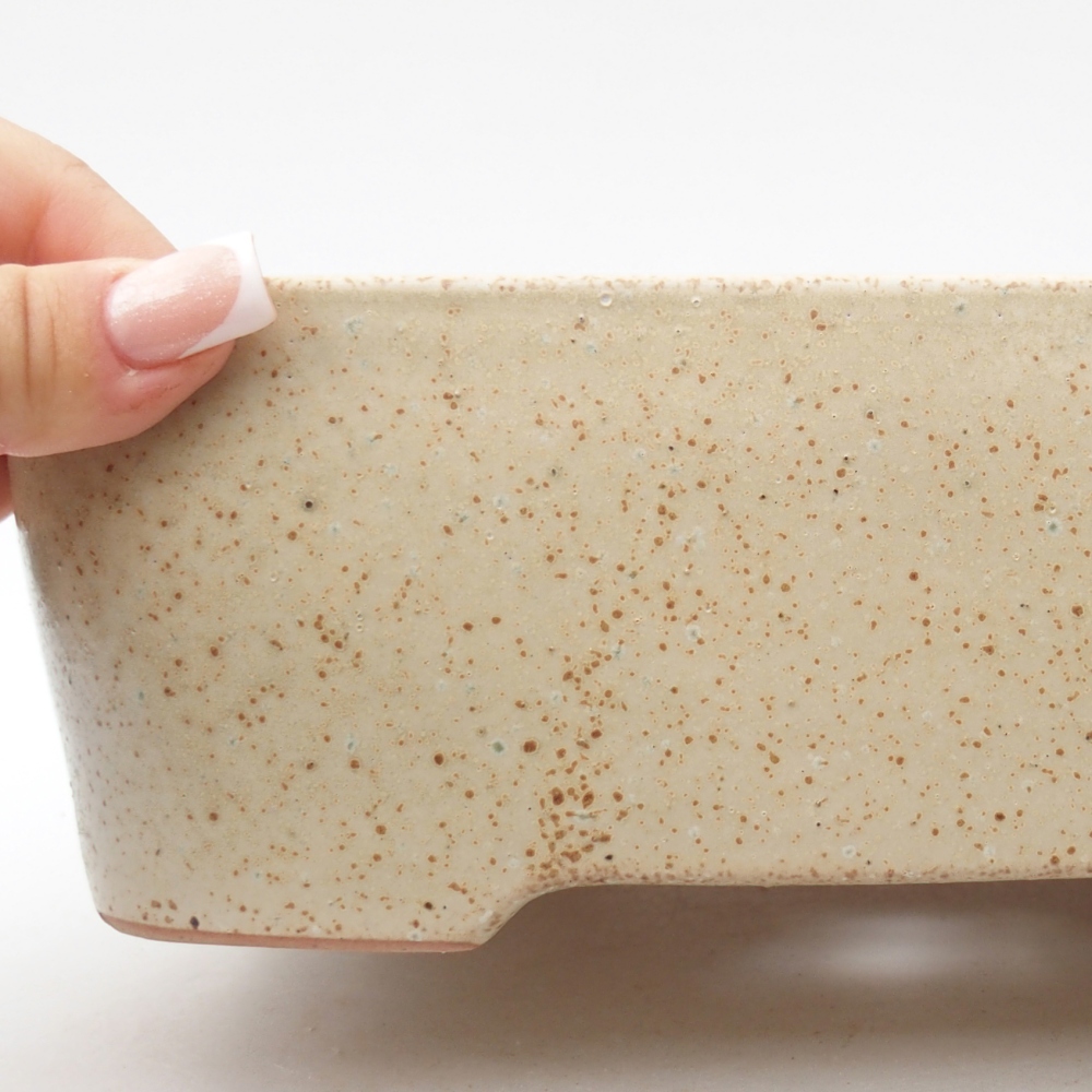 Bonsaischaal van keramiek 23 x 18 x 7,5 cm, kleur beige