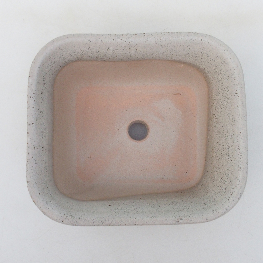 Bonsaischaal H38 - 12 x 10 x 5,5 cm - beige