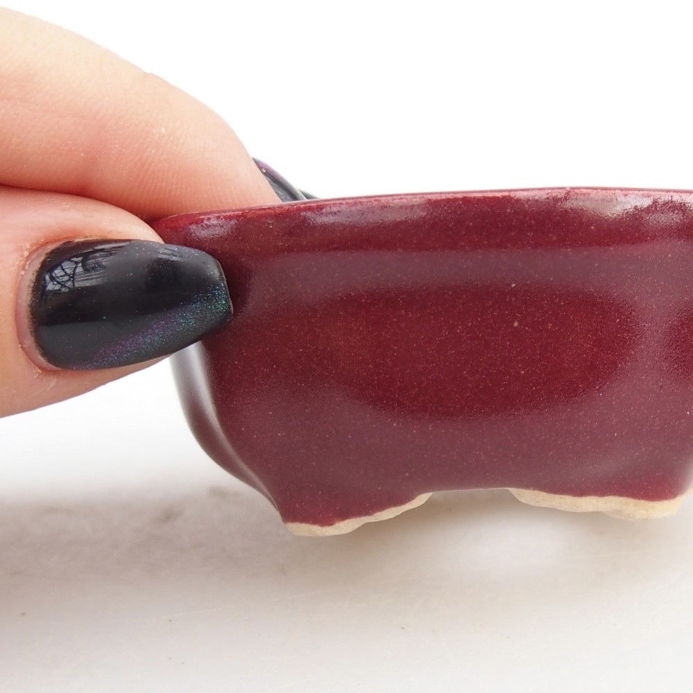 Mini bonsaischaal 6,5 x 6,5 x 3 cm, bordeauxrood