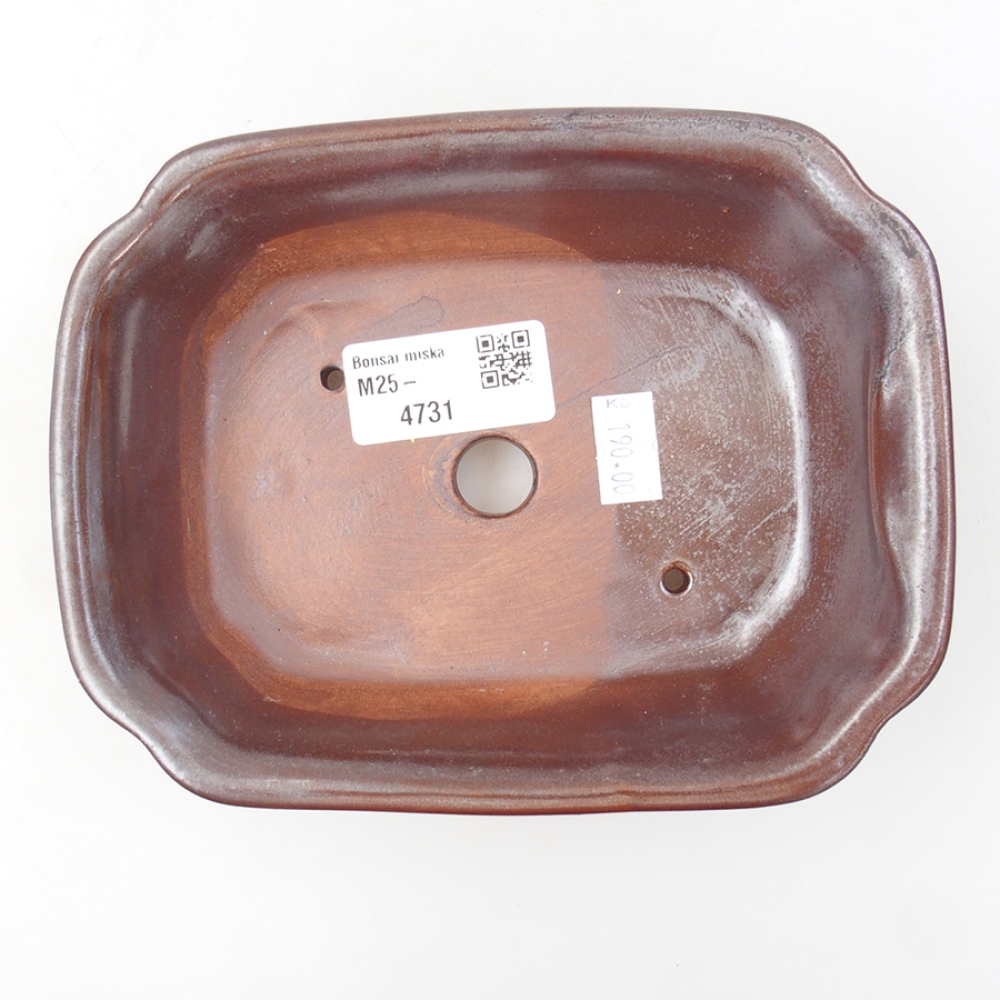 Bonsaischaal van keramiek 16 x 12 x 5 cm, bruin