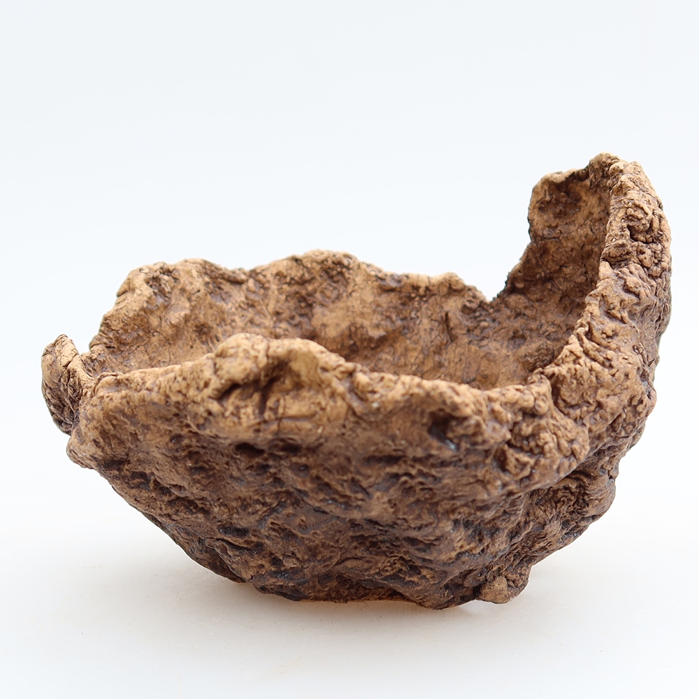 Keramisch Schelp 10 x 9,5 x 8 cm , kleur bruin