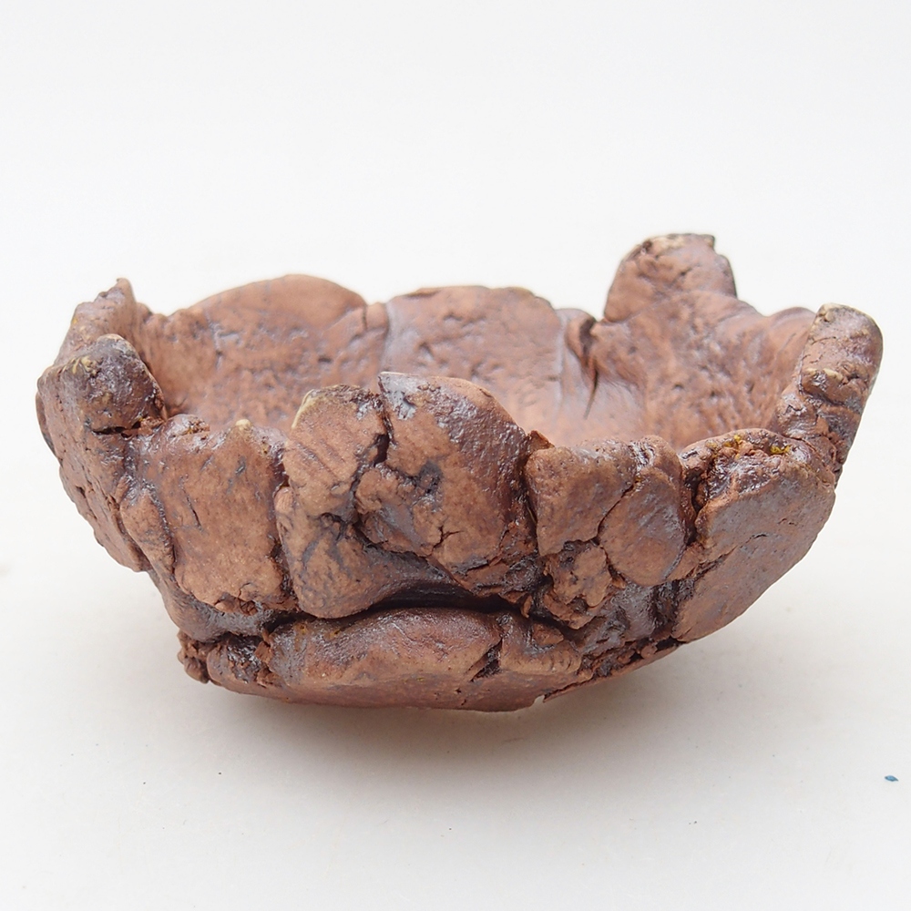 Keramisch Schelp 9 x 9 x 4,5 cm , kleur bruin