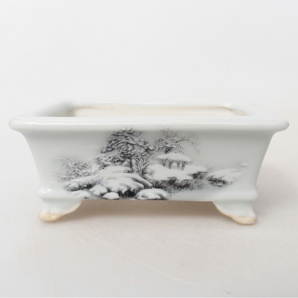 Mini bonsaischaal 8 x 6 x 3 cm, wit