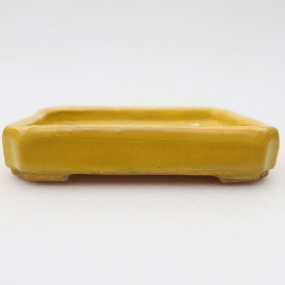 Bonsaischaal van keramiek 10 x 8 x 2 cm, geel