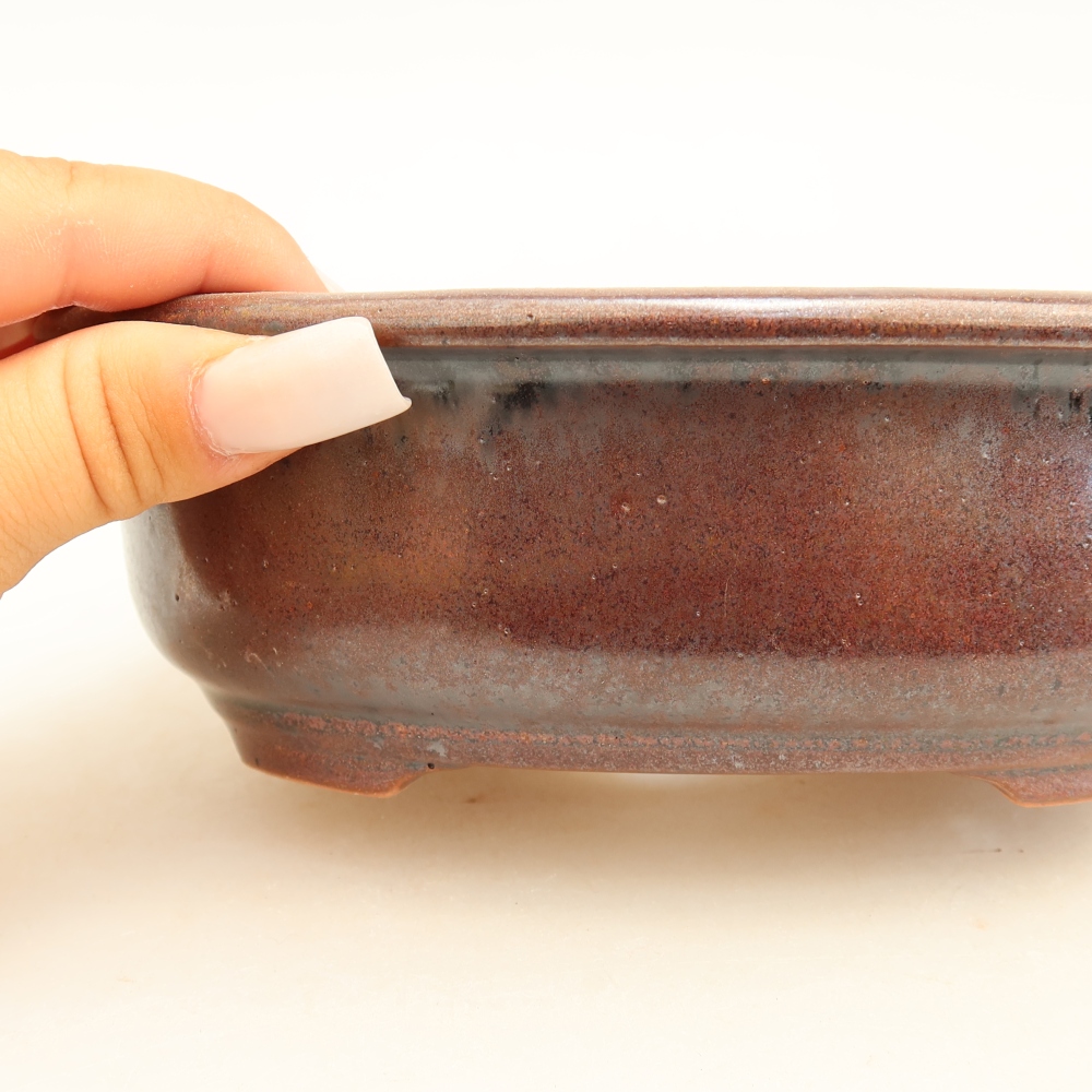 Keramische bonsaipot 18 x 14,5 x 5,5 cm, kleur bordeauxrood