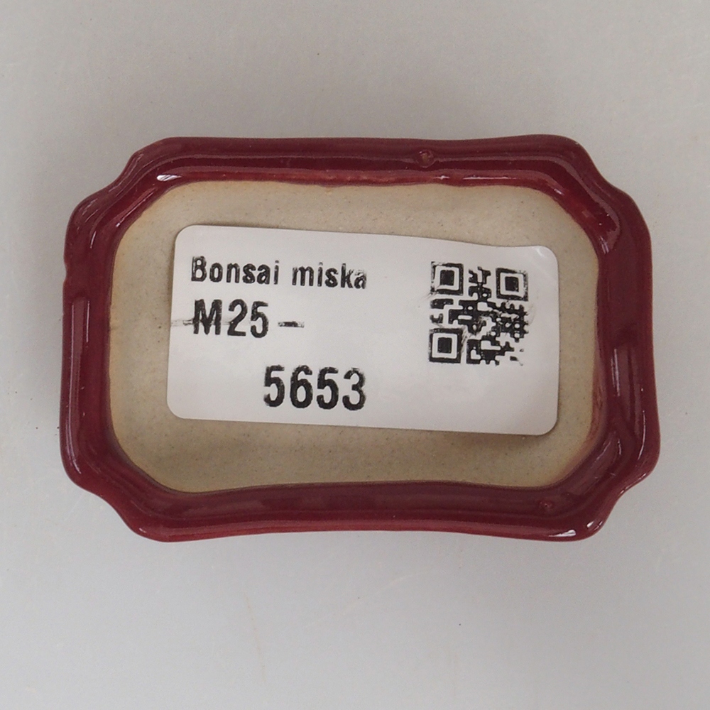 Mini bonsaischaal 5,5 x 3,5 x 1,5 cm, bordeauxrood