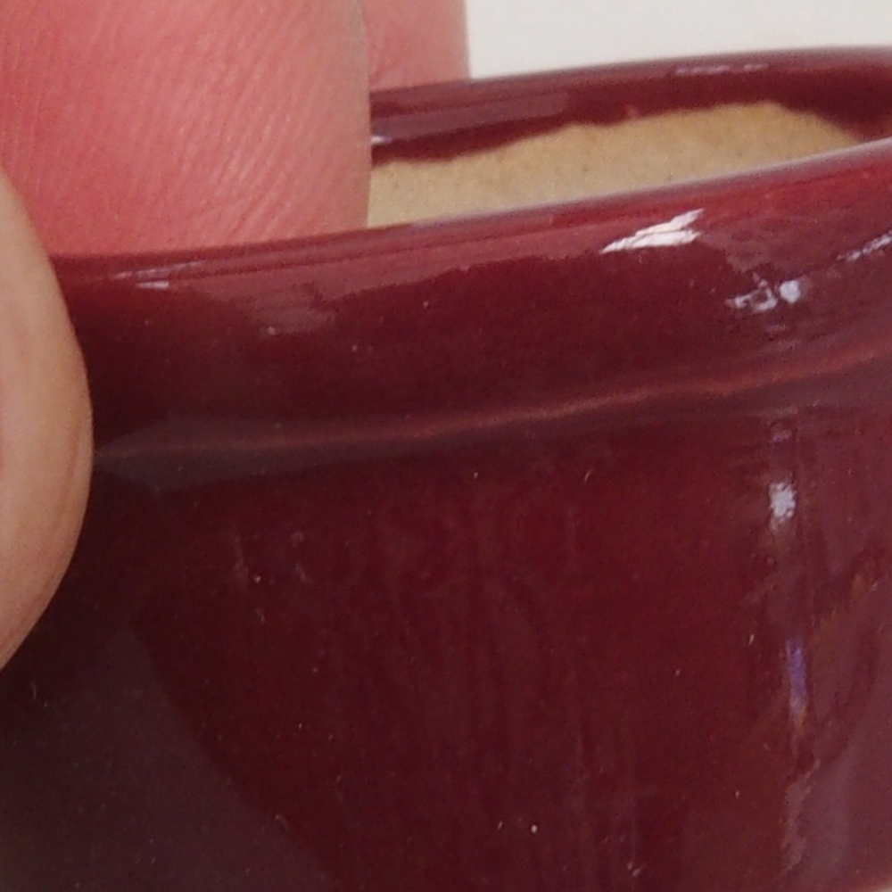 Mini bonsaischaal 3,5 x 3,5 x 2 cm, bordeauxrood