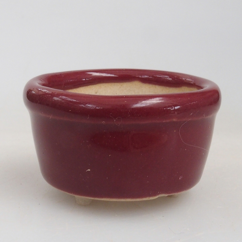 Mini bonsaischaal 3,5 x 3,5 x 2 cm, bordeauxrood