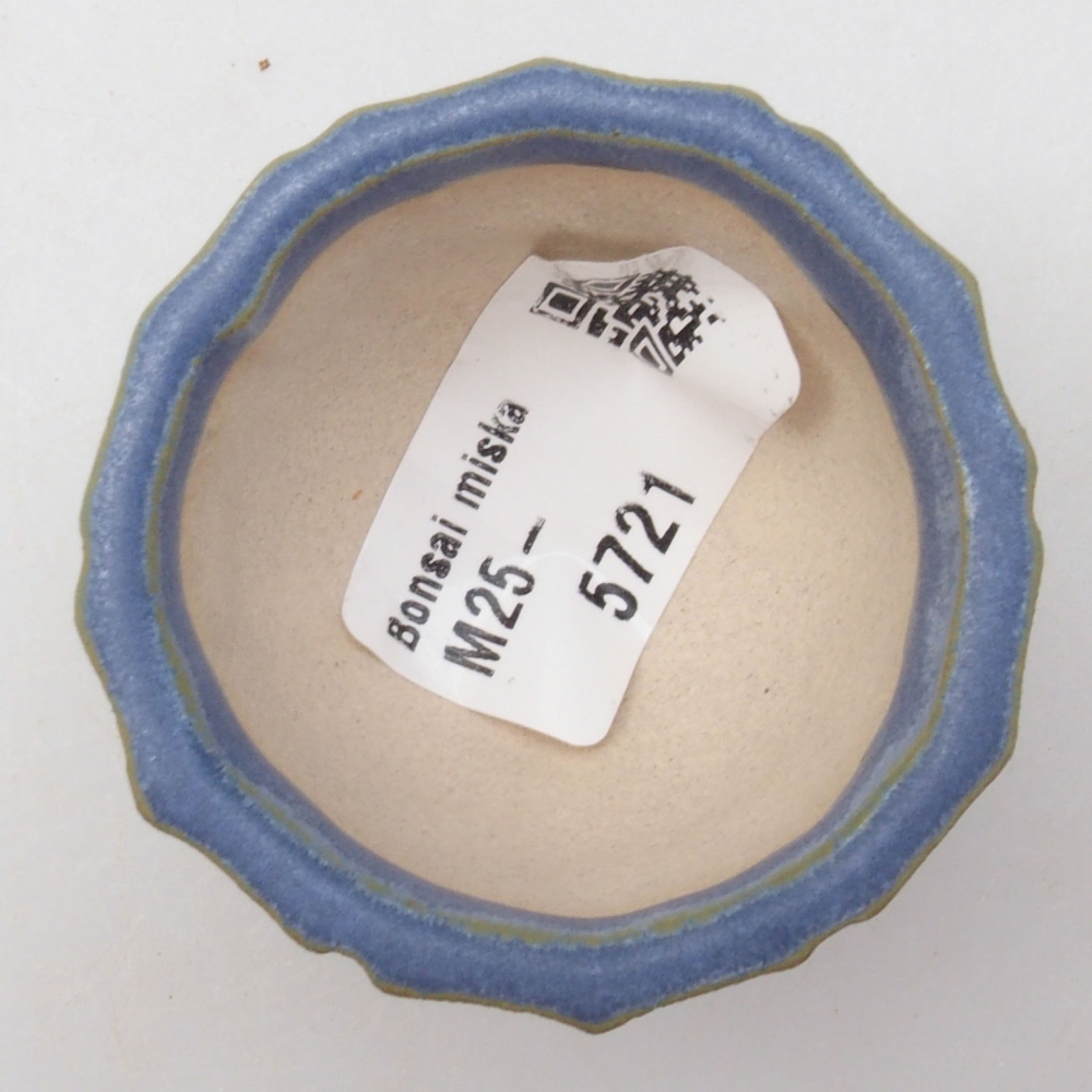 Mini bonsaischaal 5 x 5 x 3 cm, blauw
