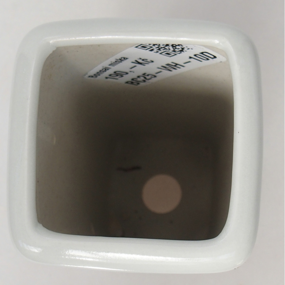 Bonsaischaal van keramiek 5,5 x 5,5 x 12 cm, kleur wit