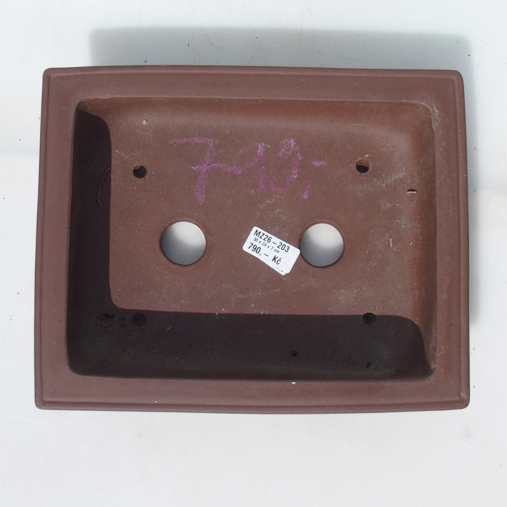 Bonsaischaal 30 x 24 x 7 cm berken bruin