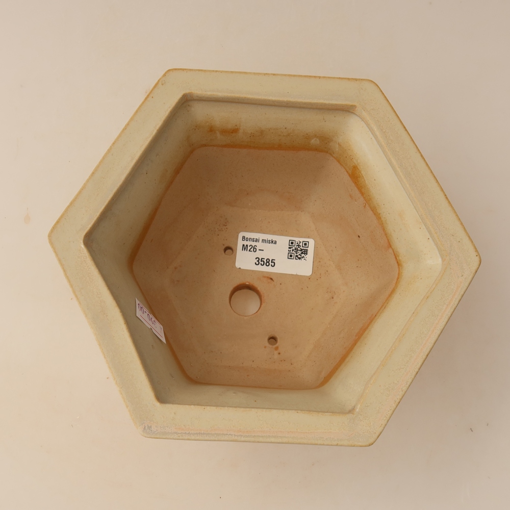 Keramische bonsaischaal 18,5 x 16,5 x 9 cm, kleur: beige