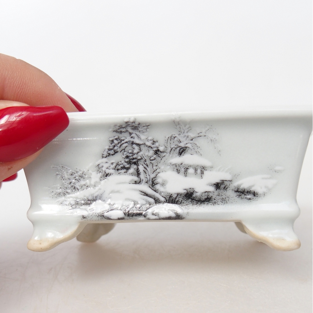 Mini bonsaischaal 8 x 6 x 3 cm, wit