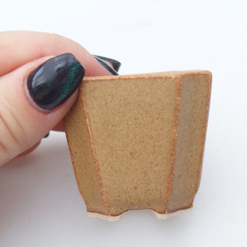 Mini bonsaischaal 4,5 x 4,5 x 4 cm, bruin