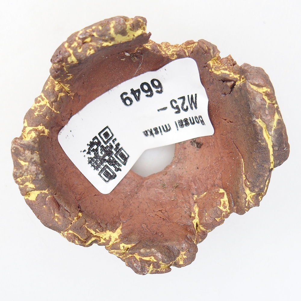 Schelp van keramiek 5,5 x 5 x 4 cm , kleur geel