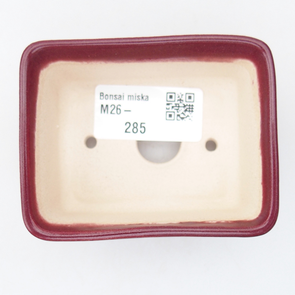 Mini bonsaischaal 8 x 6,5 x 3,5 cm, bordeauxrood