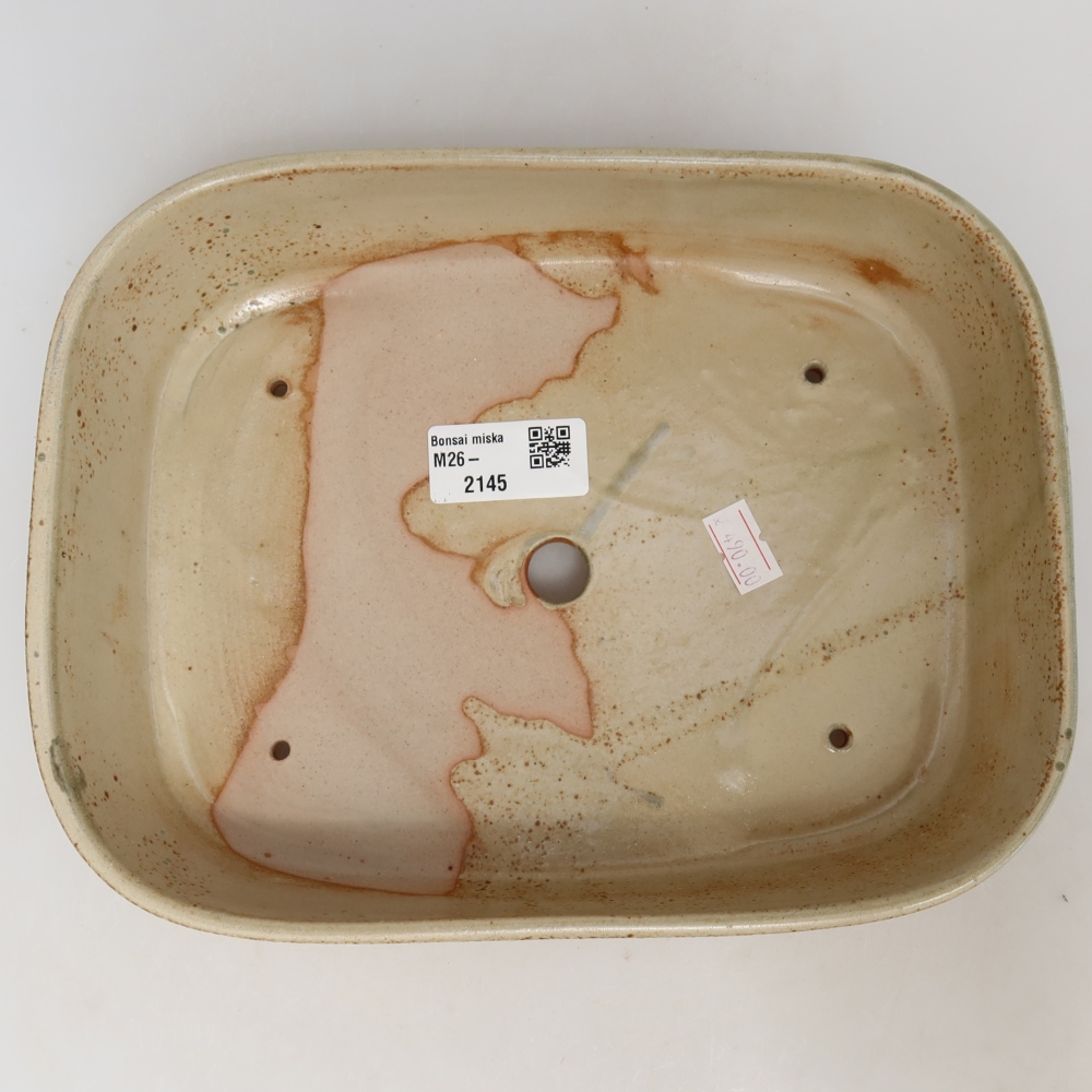 Keramische bonsaipot 23 x 18 x 5,5 cm, kleur: beige