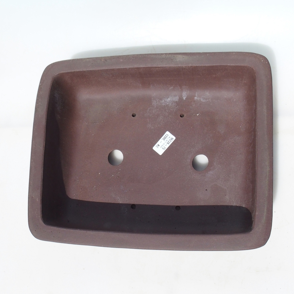 Bonsaischaal 39 x 32 x 10,5 cm berken bruin