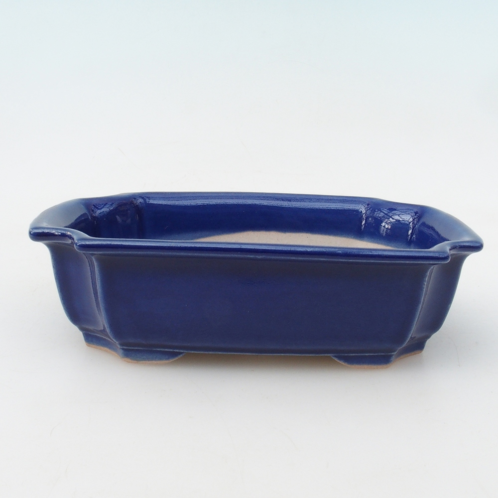 Bonsaischaal H17 - 15 x 10 x 4 cm - blauw