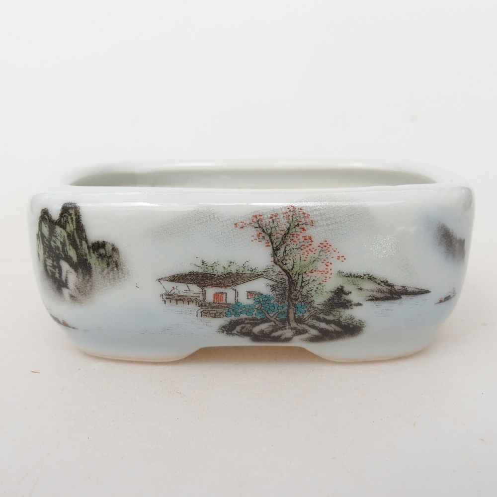 Mini bonsaischaal 8 x 6 x 3 cm, wit