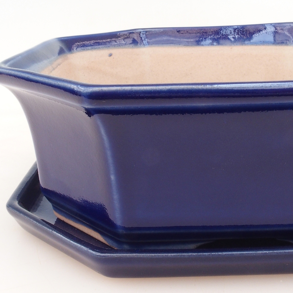 Bonsai kom + schotel H14 - blauw