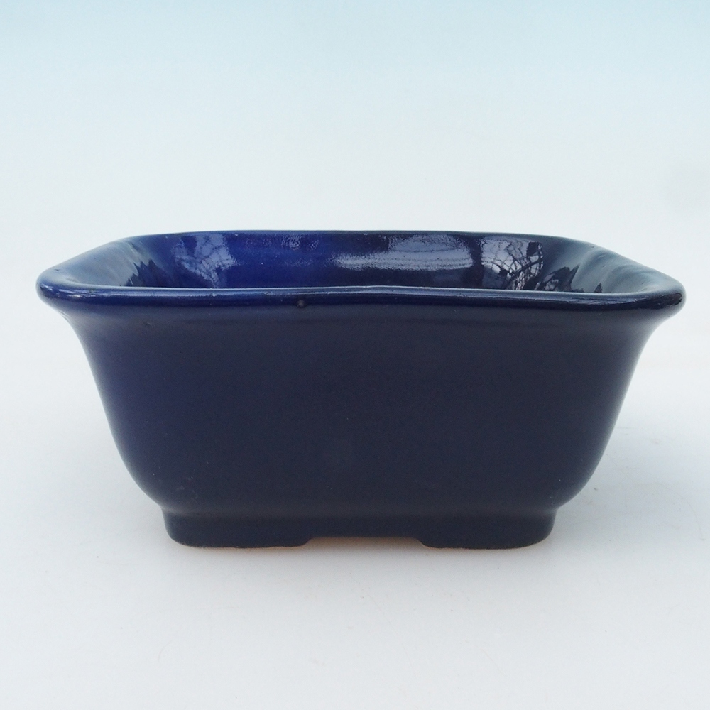 Bonsai kom H38 - 12 x 10 x 5,5 cm - blauw