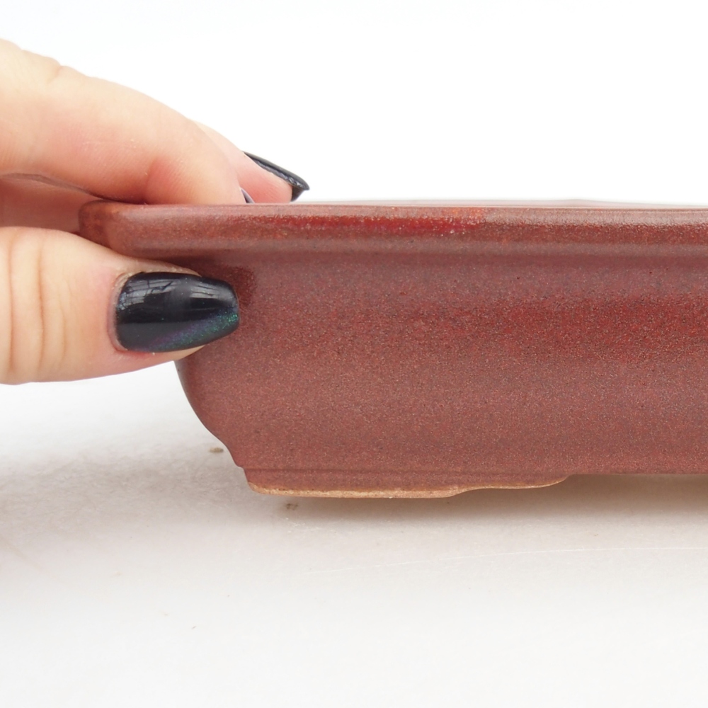 Bonsaischaal van keramiek 18 x 13,5 x 4,5 cm, bordeauxrood