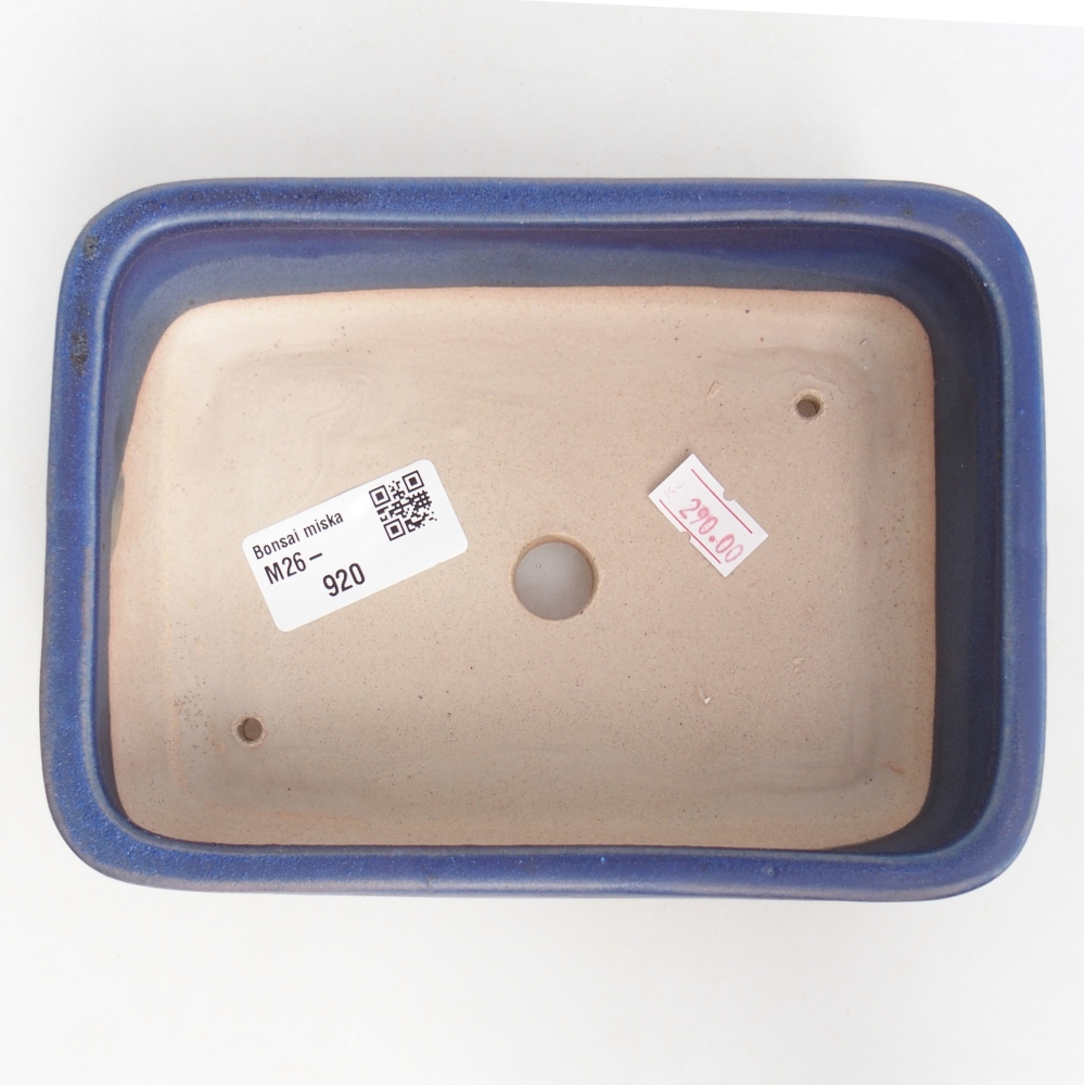 Bonsaischaal van keramiek 16,5 x 12 x 5,5 cm, kleur blauw