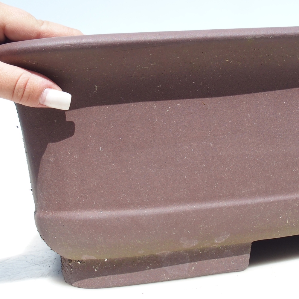 Bonsaischaal 65 x 48 x 16 cm - bruin