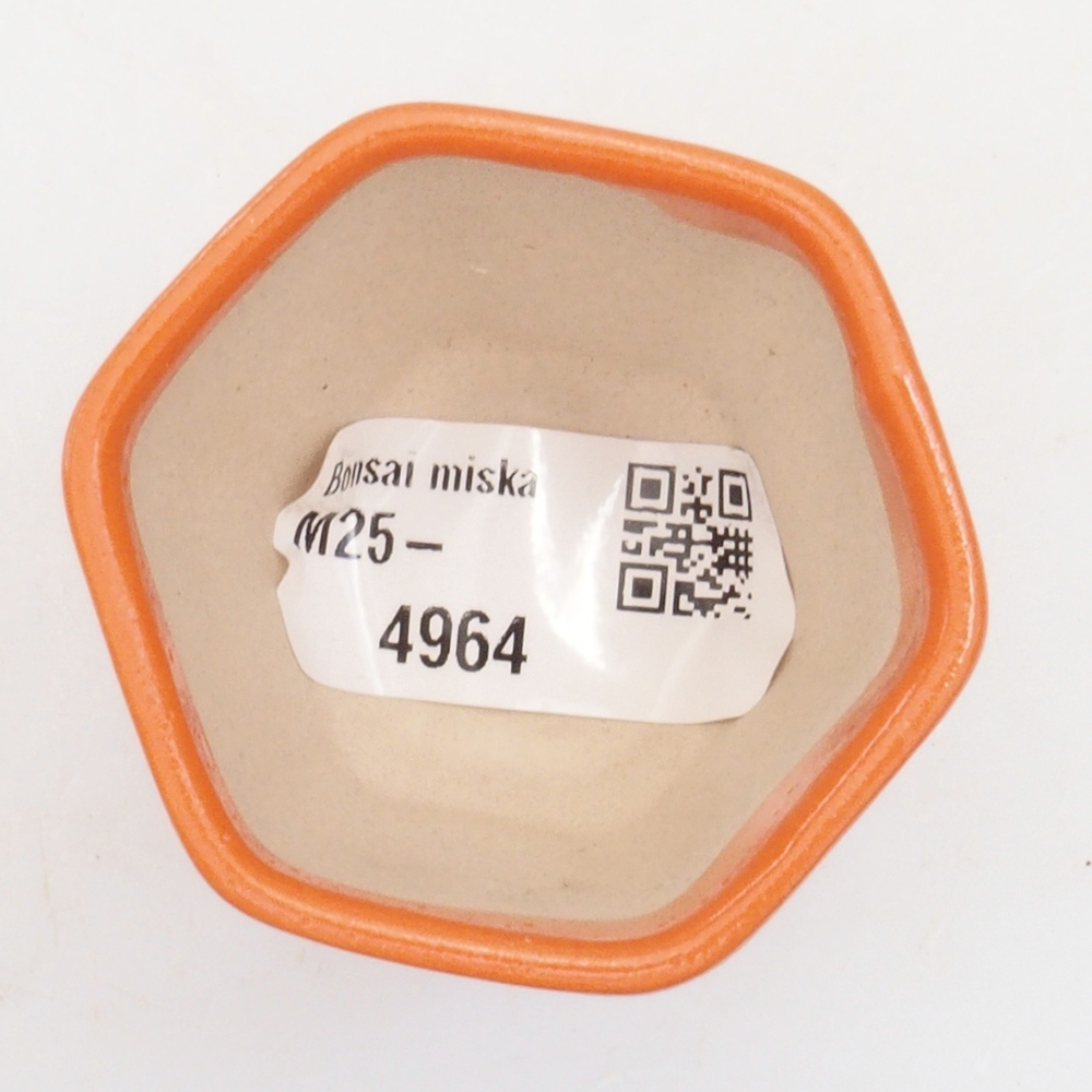 Mini bonsaischaal 5 x 5 x 5 cm, oranje