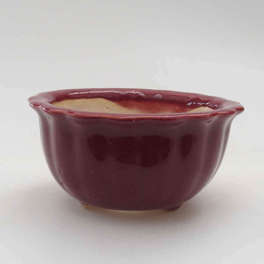 Mini bonsaischaal 6,5 x 6,5 x 3,5 cm, bordeauxrood